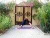 1 Adho Muhka Svanasana, Dog with the head down